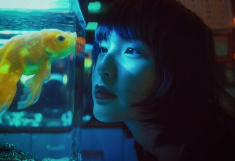 Une femme est assise devant un aquarium éclairé et le regarde avec fascination.